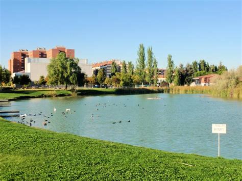 habitantes de laguna de duero|Laguna de Duero (Valladolid, Castilla y León, Spain)